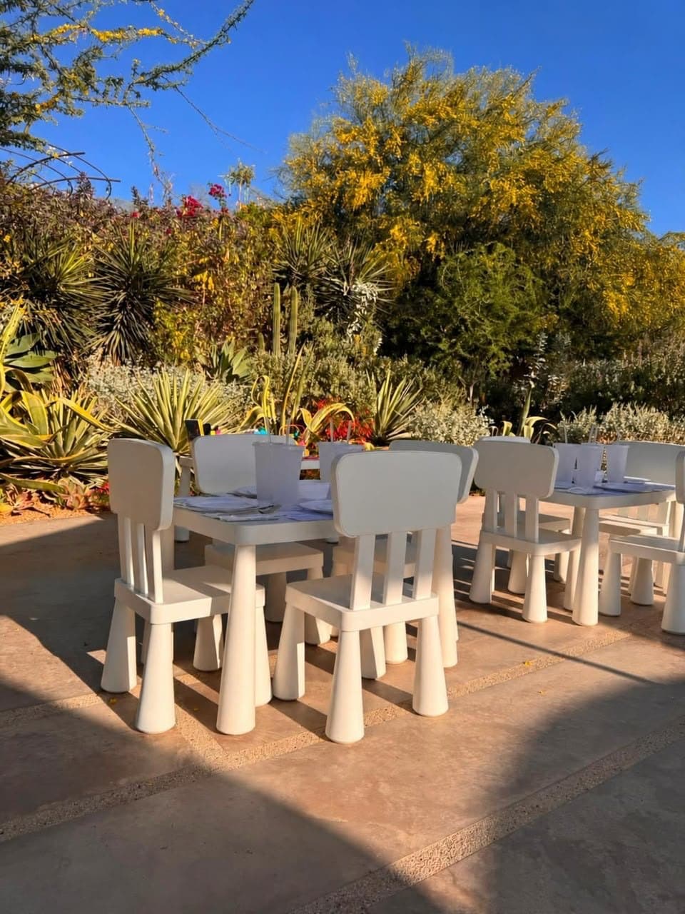 Mesita y Sillas en jardín